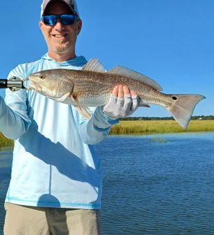 Redfish Best Inshore Fishing Charleston